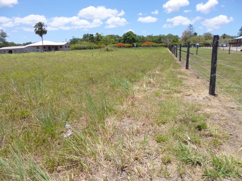 21 Pugsley Street, WALKERSTON QLD 4751, Walkerston - Thumbnail 2