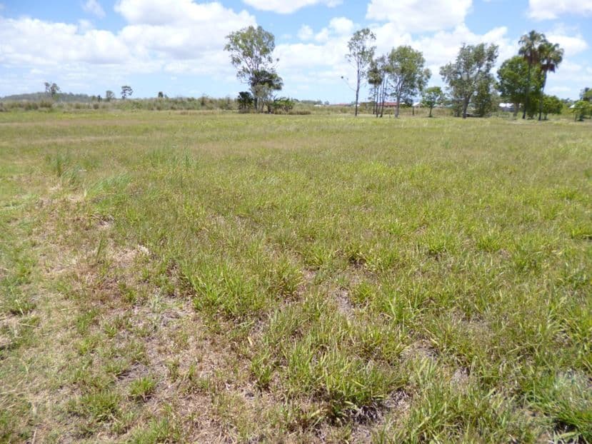 21 Pugsley Street, WALKERSTON QLD 4751, Walkerston - Thumbnail 4
