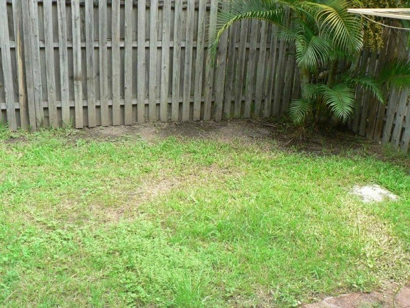 84 Franklin Drive, MUDGEERABA QLD 4213, Mudgeeraba - Thumbnail 4