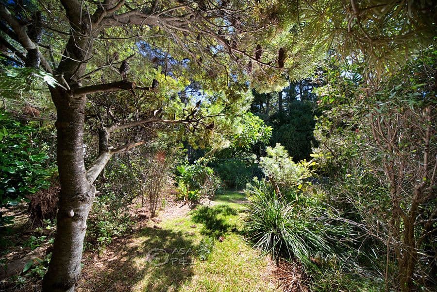 3 Mel Avenue, Blackheath NSW 2785, Blackheath - Thumbnail 3