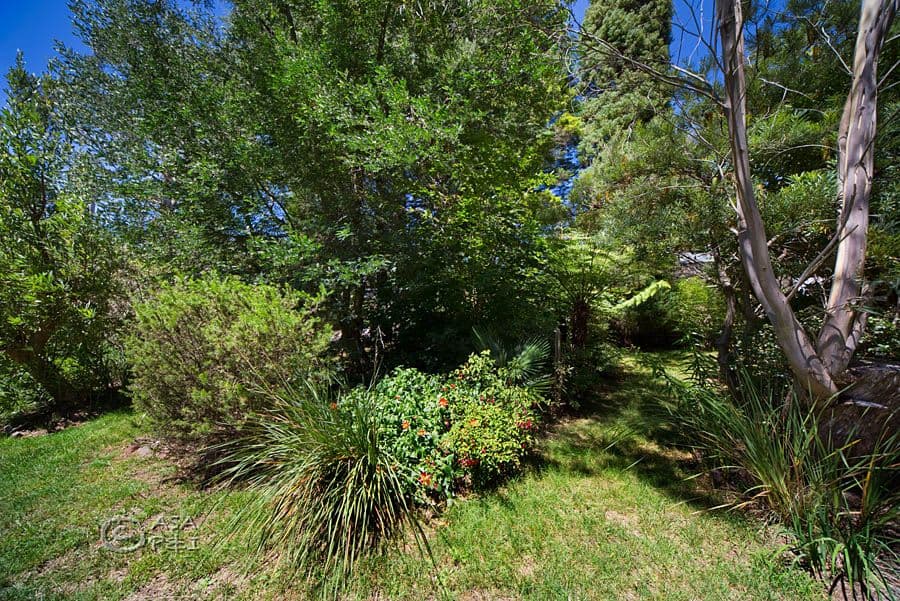 3 Mel Avenue, Blackheath NSW 2785, Blackheath - Thumbnail 4