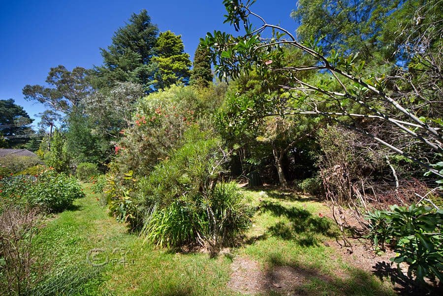 3 Mel Avenue, Blackheath NSW 2785, Blackheath - Thumbnail 5