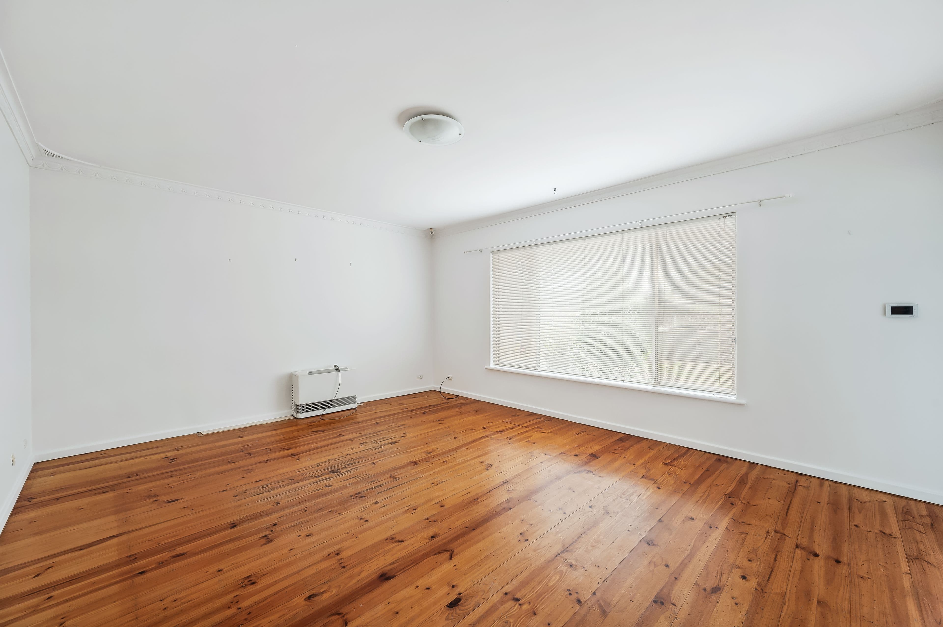 22 Nixon Street, Marion SA 5043, Marion - Thumbnail 3