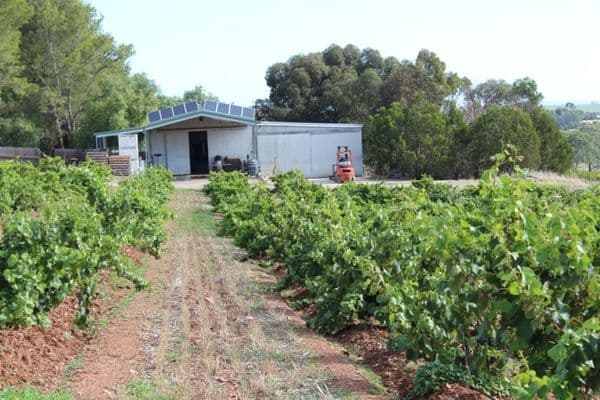 121A Radford Road, SEPPELTSFIELD SA 5355, Seppeltsfield - Thumbnail 7
