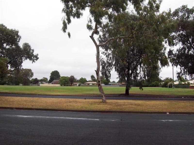 40 Howard Avenue, DUBBO NSW 2830, Dubbo - Thumbnail 6