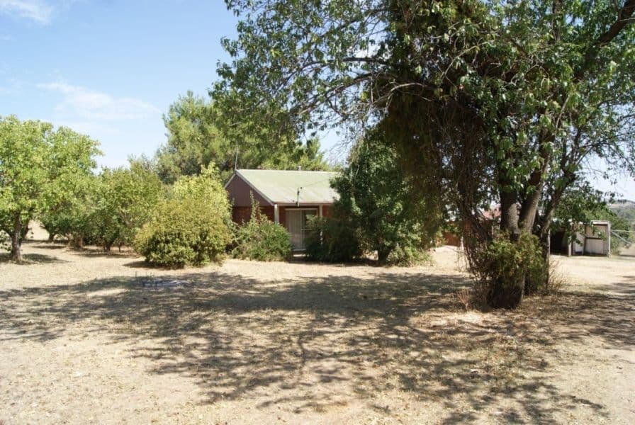 15 McCaffery Lane, Young NSW 2594, Young - Image 1