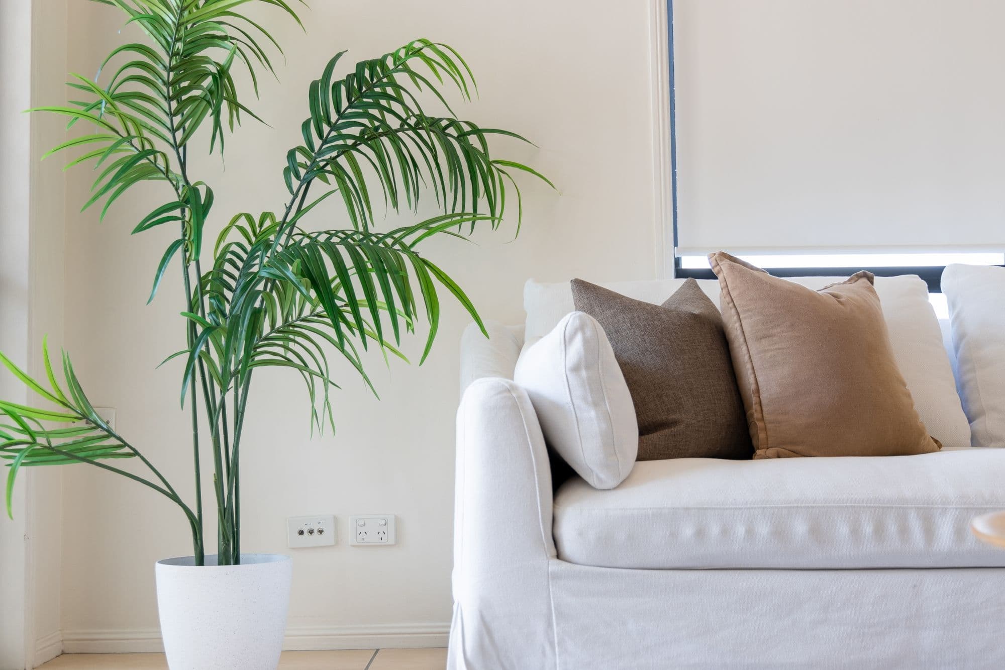 15 Twelfth Avenue, Brighton QLD 4017, Brighton - Thumbnail 4