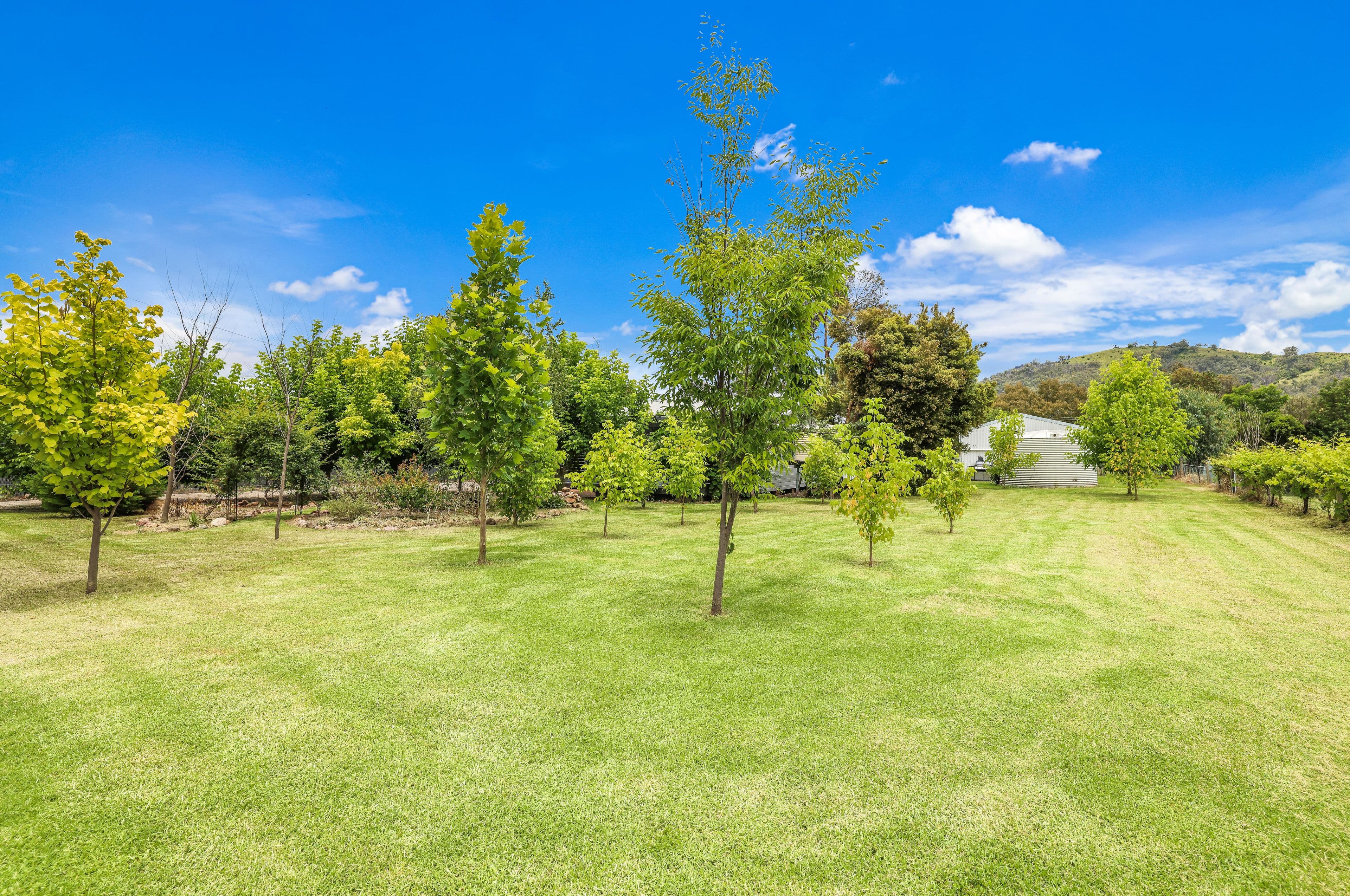 13-15 Duncan Street, Tamworth NSW 2340, Tamworth - Thumbnail 3