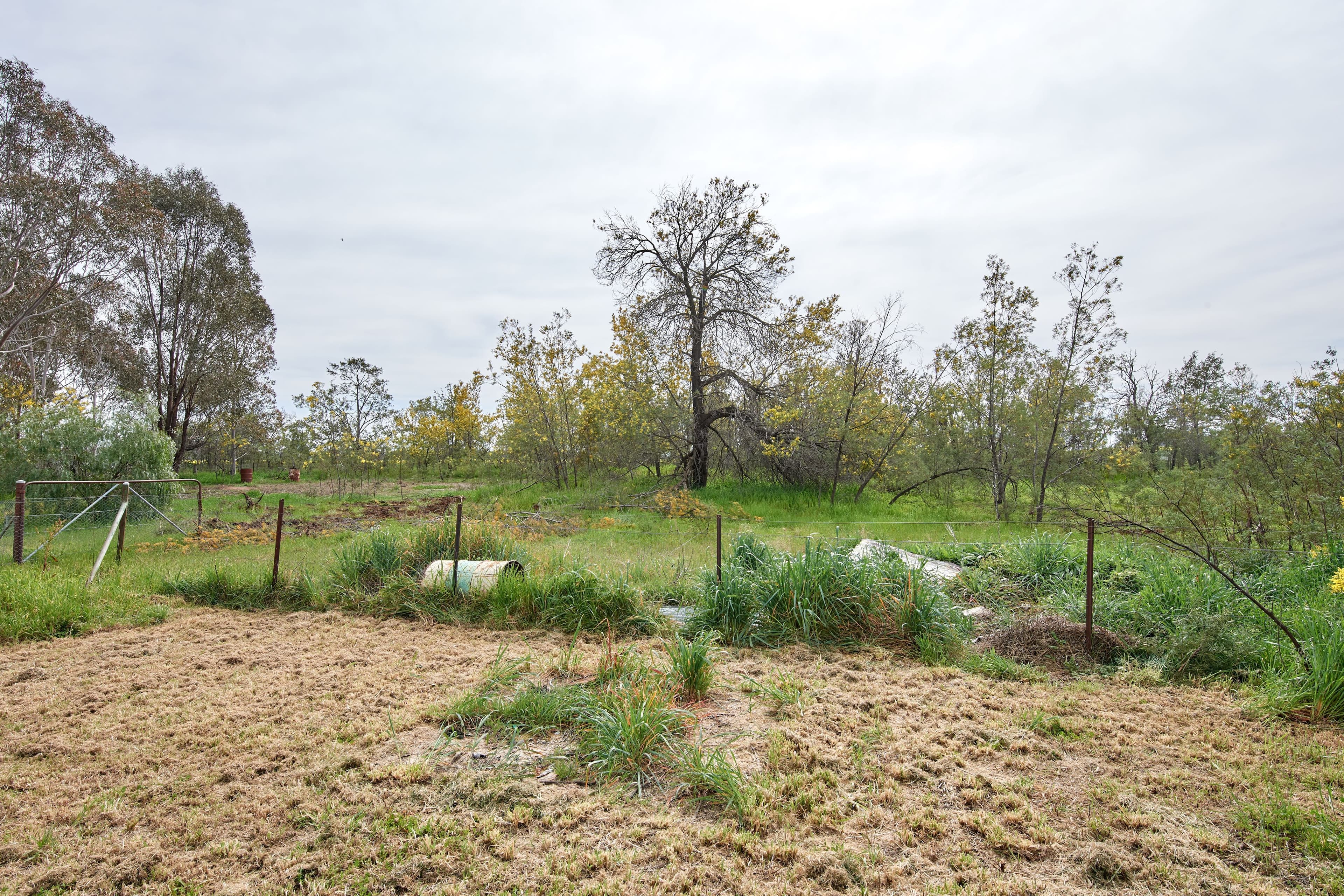 16-22 Howell Street, Illabo NSW 2590, Illabo - Thumbnail 8