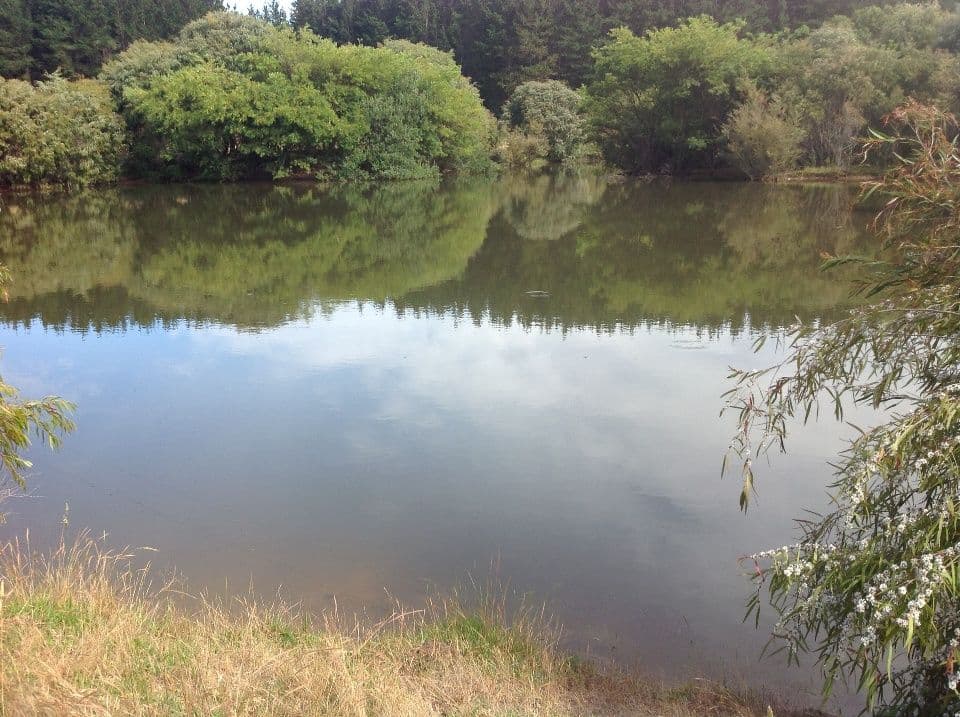 LOT 9873 RIVERWAY, NORTHCLIFFE WA 6262, Northcliffe - Thumbnail 7