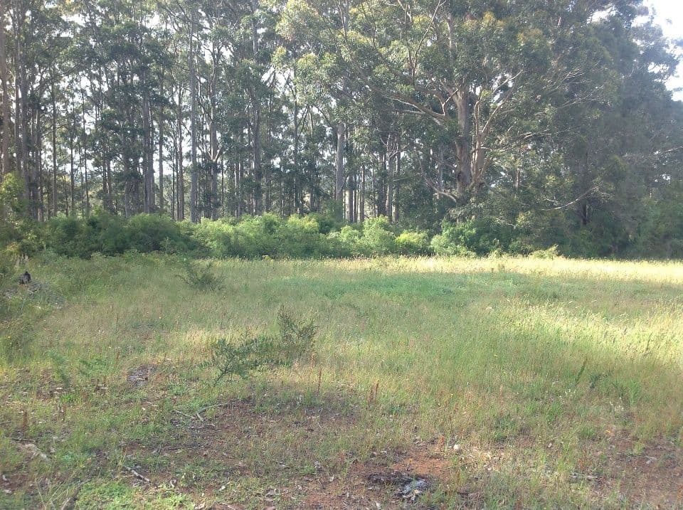 LOT 9873 RIVERWAY, NORTHCLIFFE WA 6262, Northcliffe - Thumbnail 8