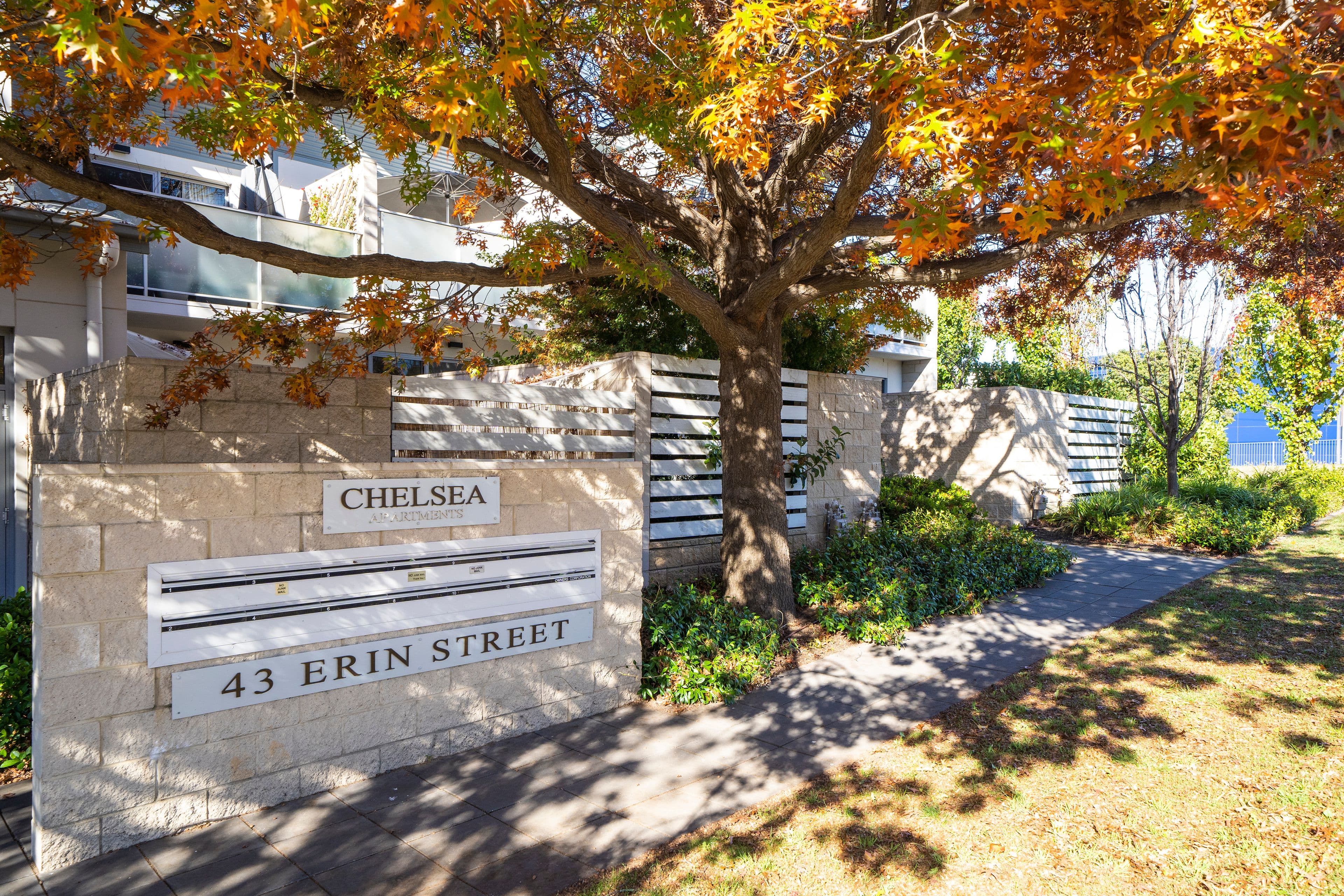 43 Erin Street, Queanbeyan NSW 2620, Queanbeyan - Image 1