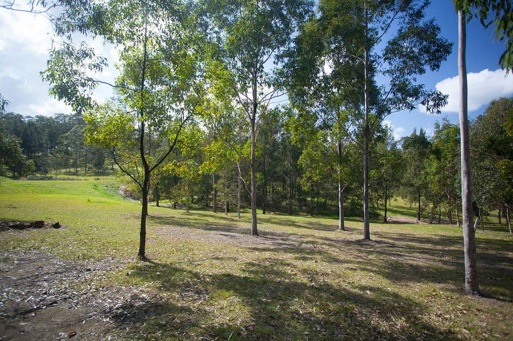 13 Sorrento Place, Taree NSW 2430, Taree - Thumbnail 2
