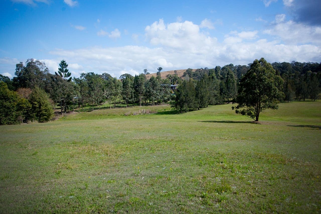 13 Sorrento Place, Taree NSW 2430, Taree - Thumbnail 6