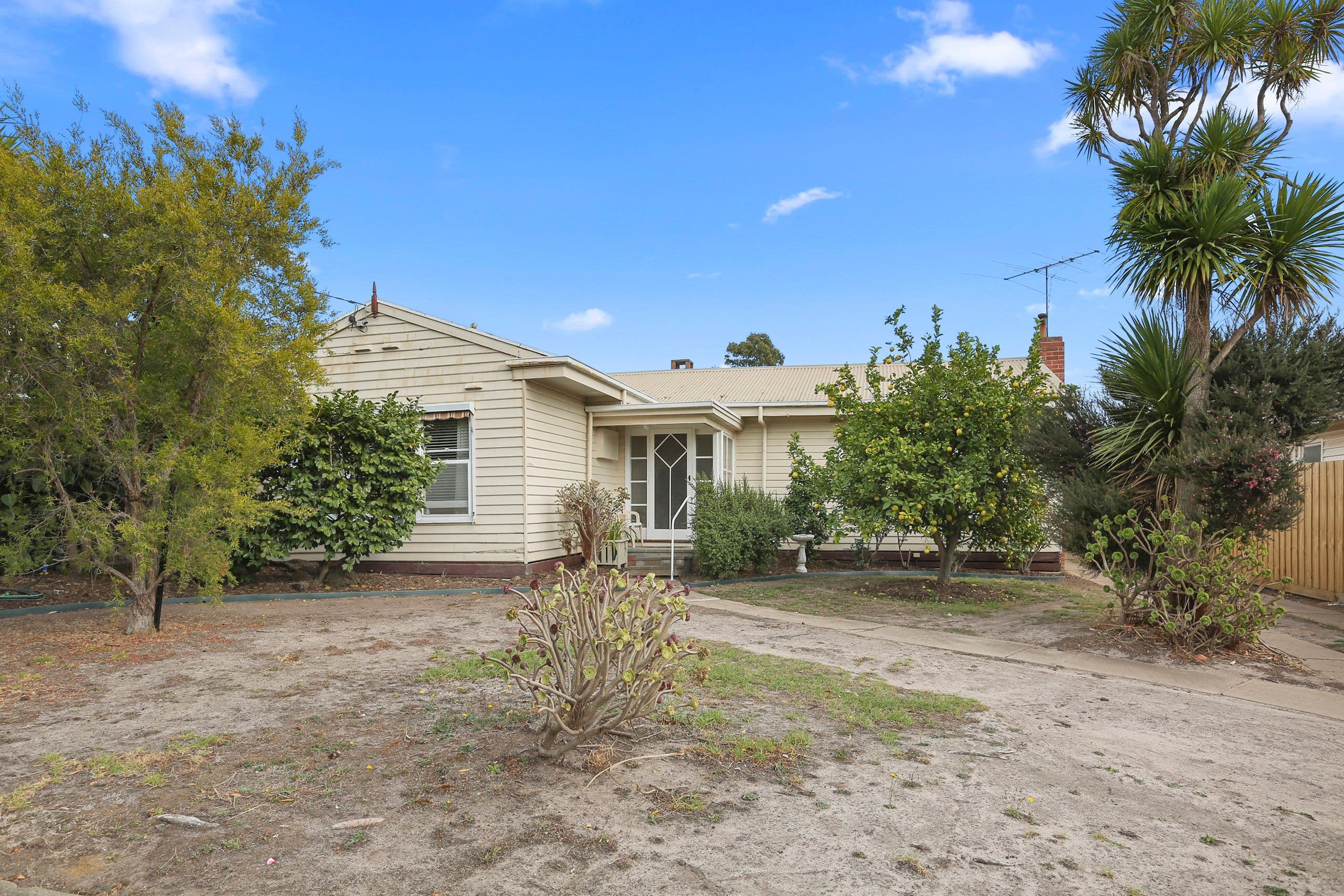 20 Hill Street, Belmont VIC 3216, Belmont - Image 1