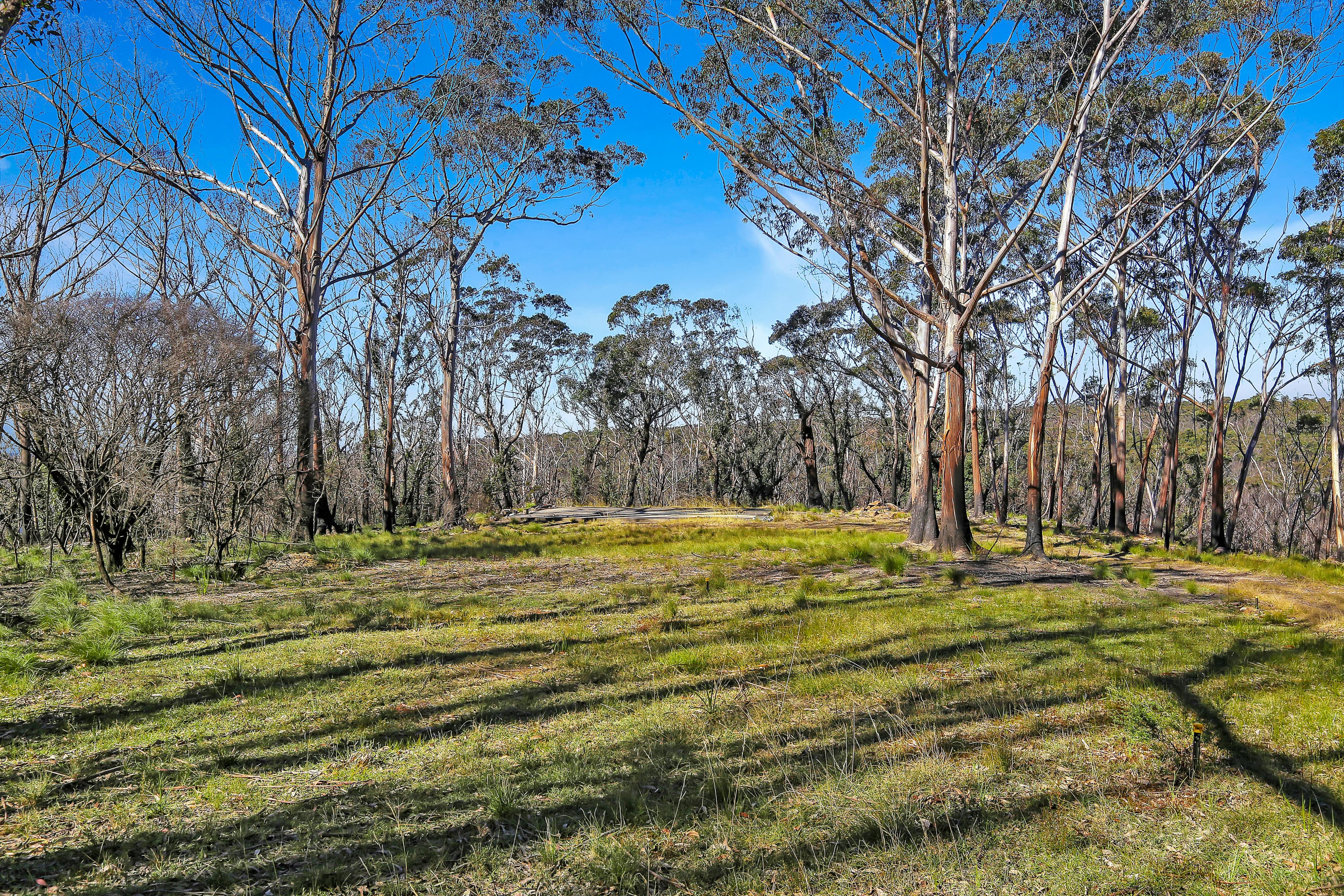 255 Hat Hill Road, Blackheath NSW 2785, Blackheath - Thumbnail 2