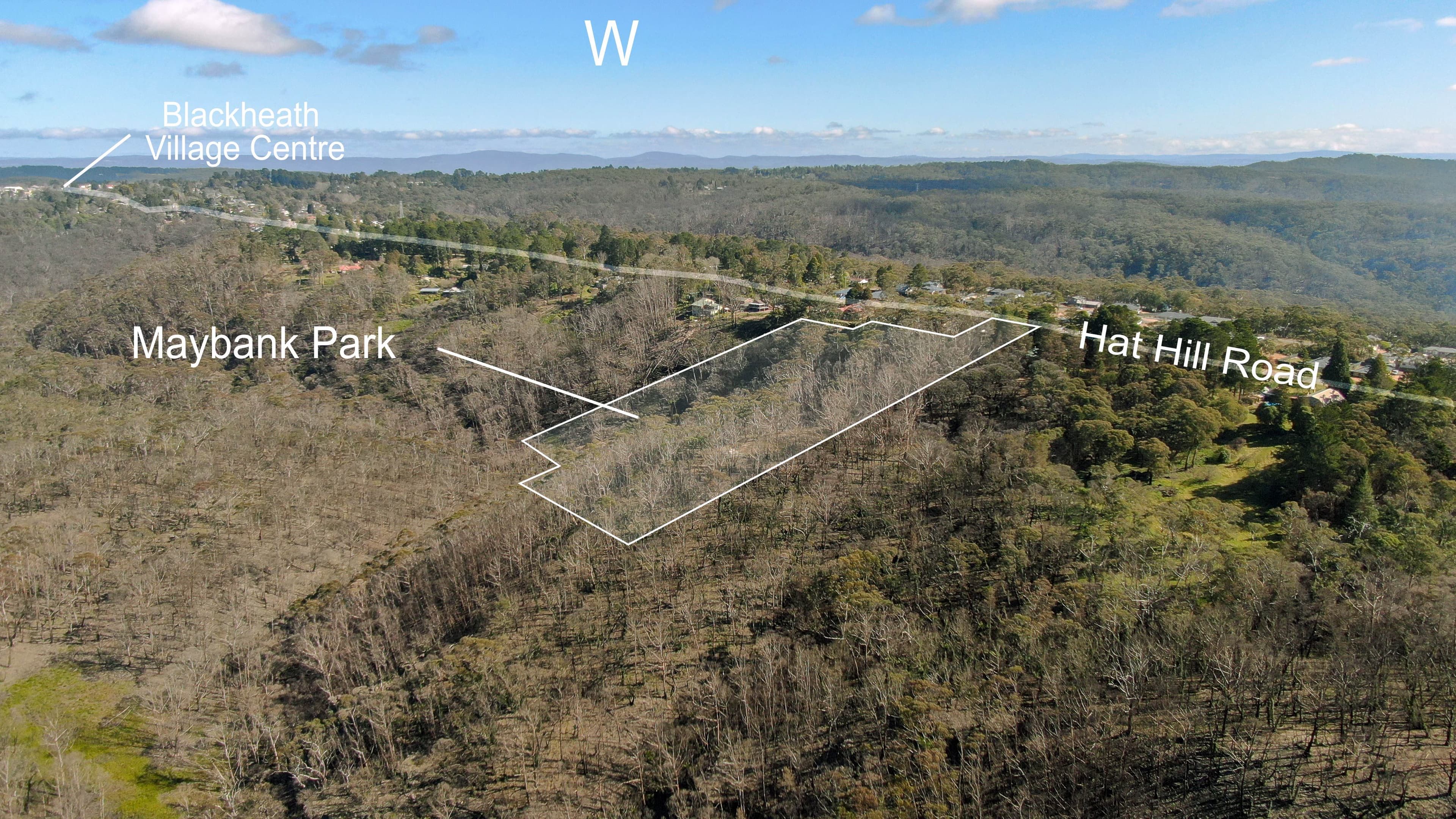 255 Hat Hill Road, Blackheath NSW 2785, Blackheath - Thumbnail 5