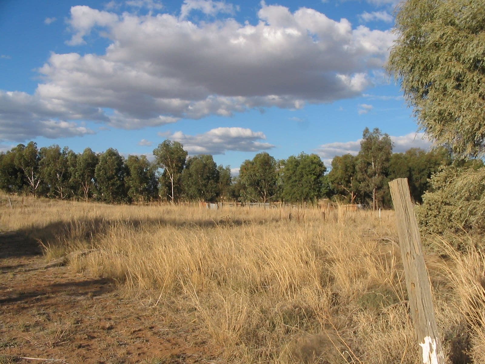 Lot 8 Joppa Street, QUANDIALLA NSW 2721, Quandialla - Image 1