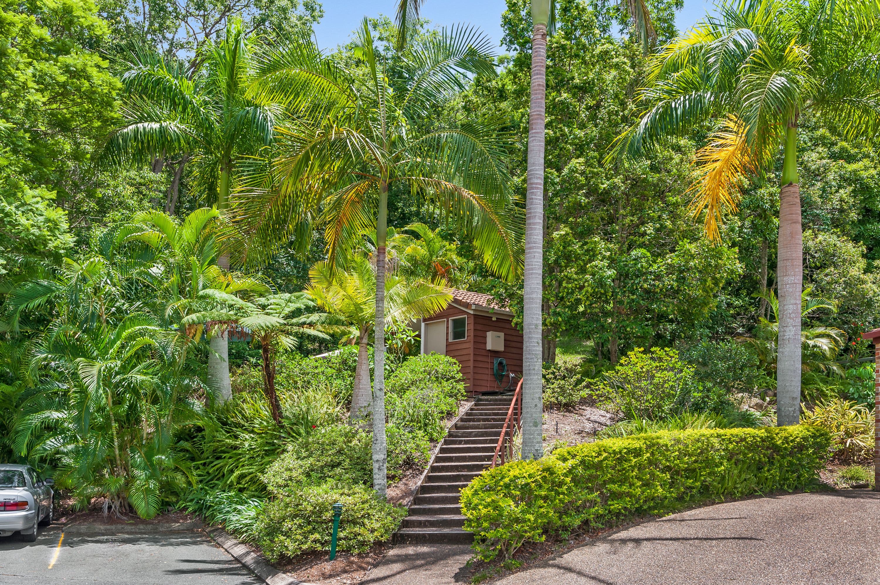 43 Moordale Street, Chapel Hill QLD 4069, Chapel Hill - Thumbnail 8