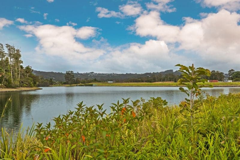 9 MacKenzie Drive Maroochydore QLD, Maroochydore - Image 1