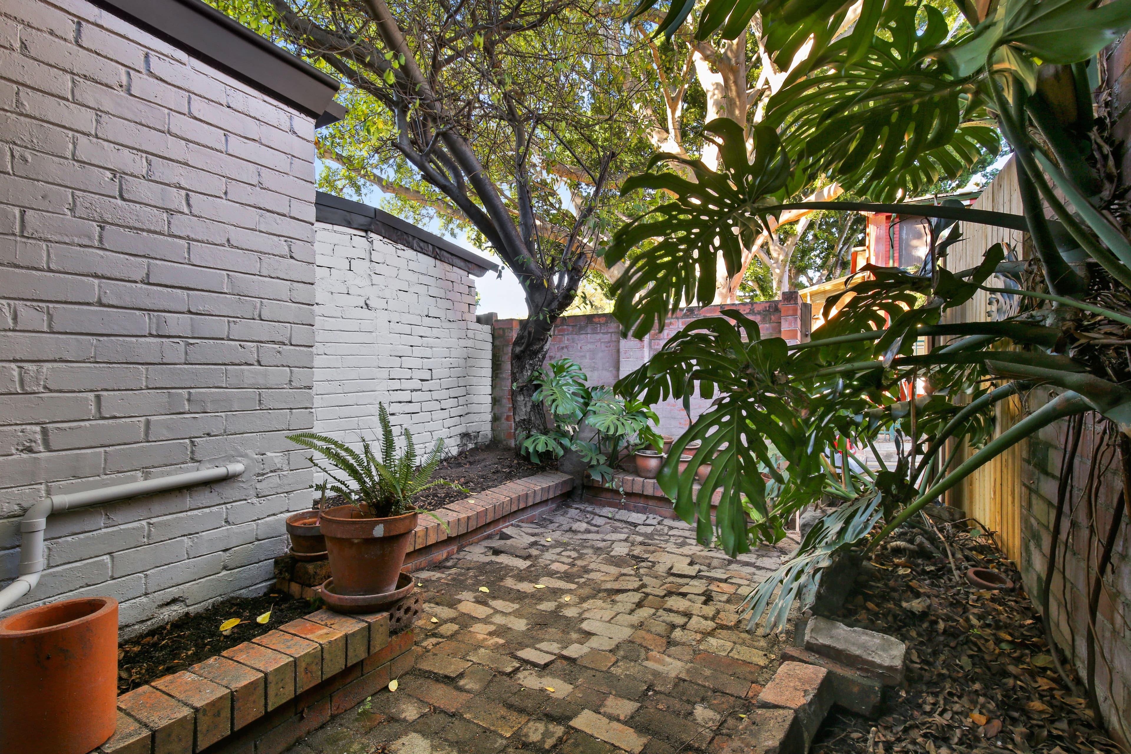 13 Gibbes Street, Newtown - Thumbnail 8