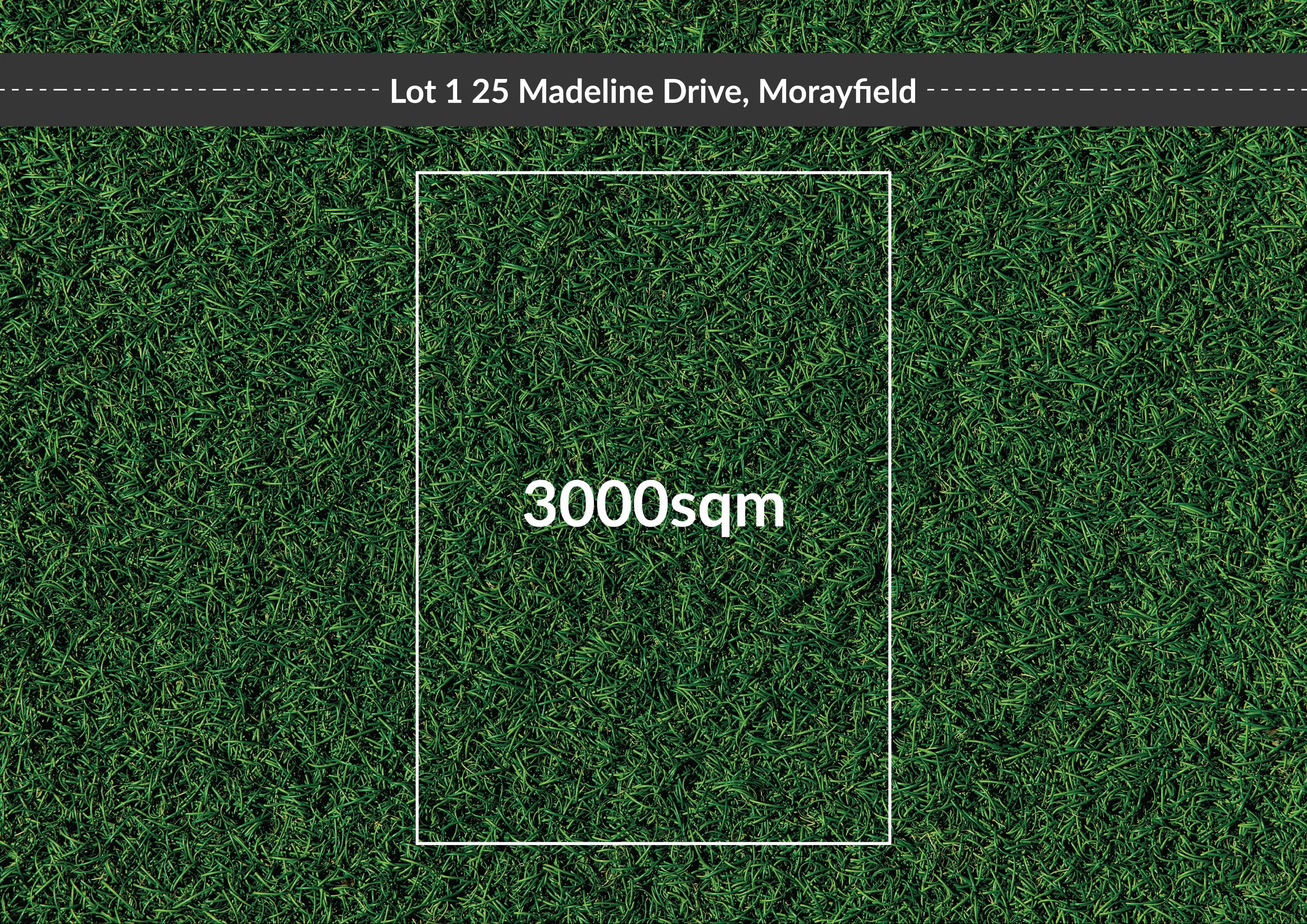 25 Madeline Drive, Morayfield QLD 4506, Morayfield - Image 1