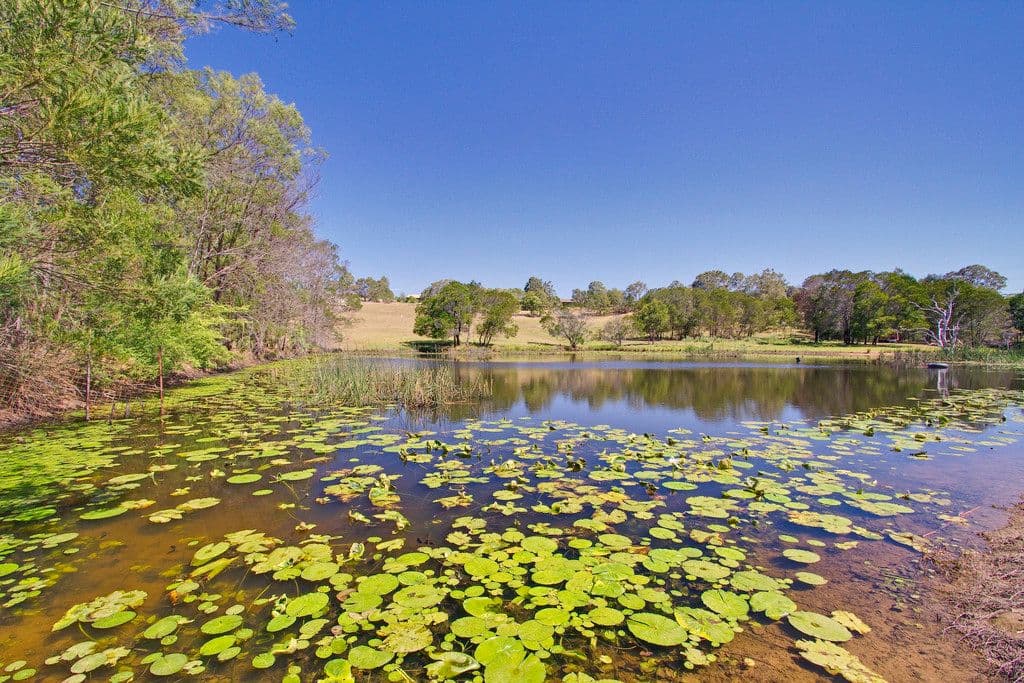 10 Uralla Road, KURRAJONG NSW 2758, East Kurrajong - Thumbnail 5