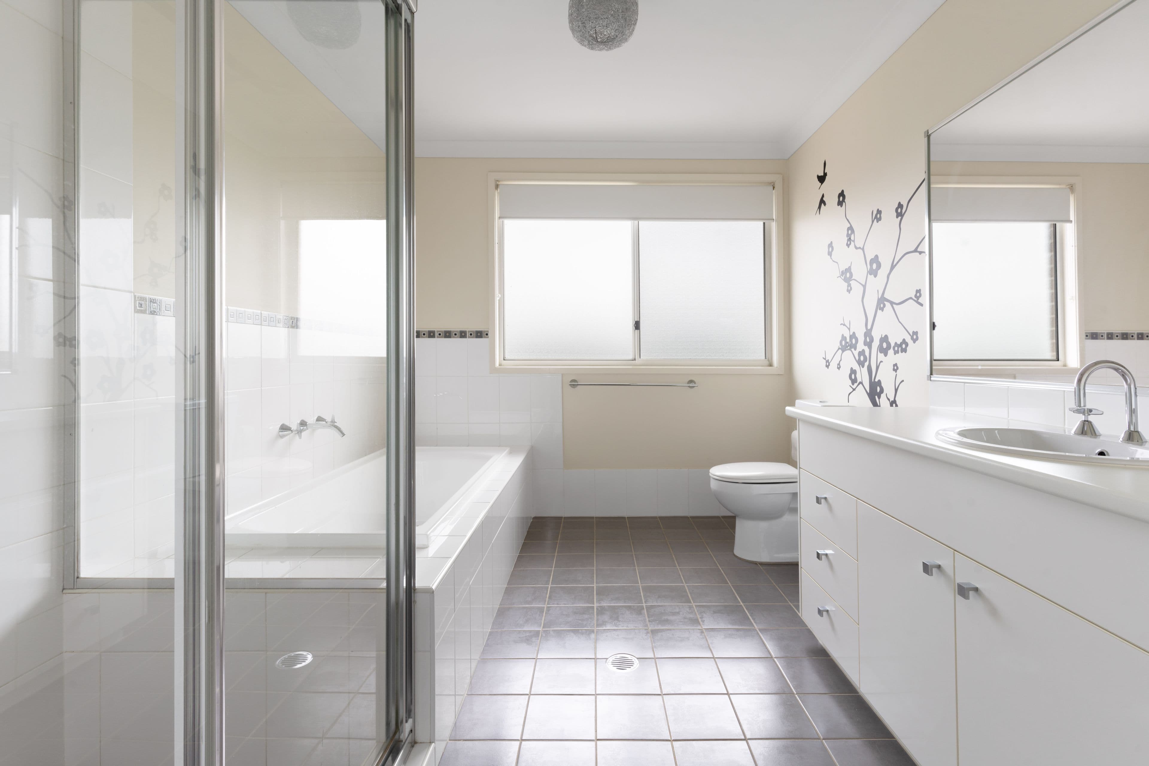 3 Gardiner Crescent, Elderslie NSW 2570, Elderslie - Thumbnail 6