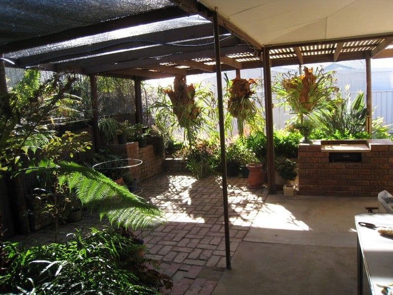 523 St Michael Street, DENILIQUIN NSW 2710, Deniliquin - Thumbnail 2
