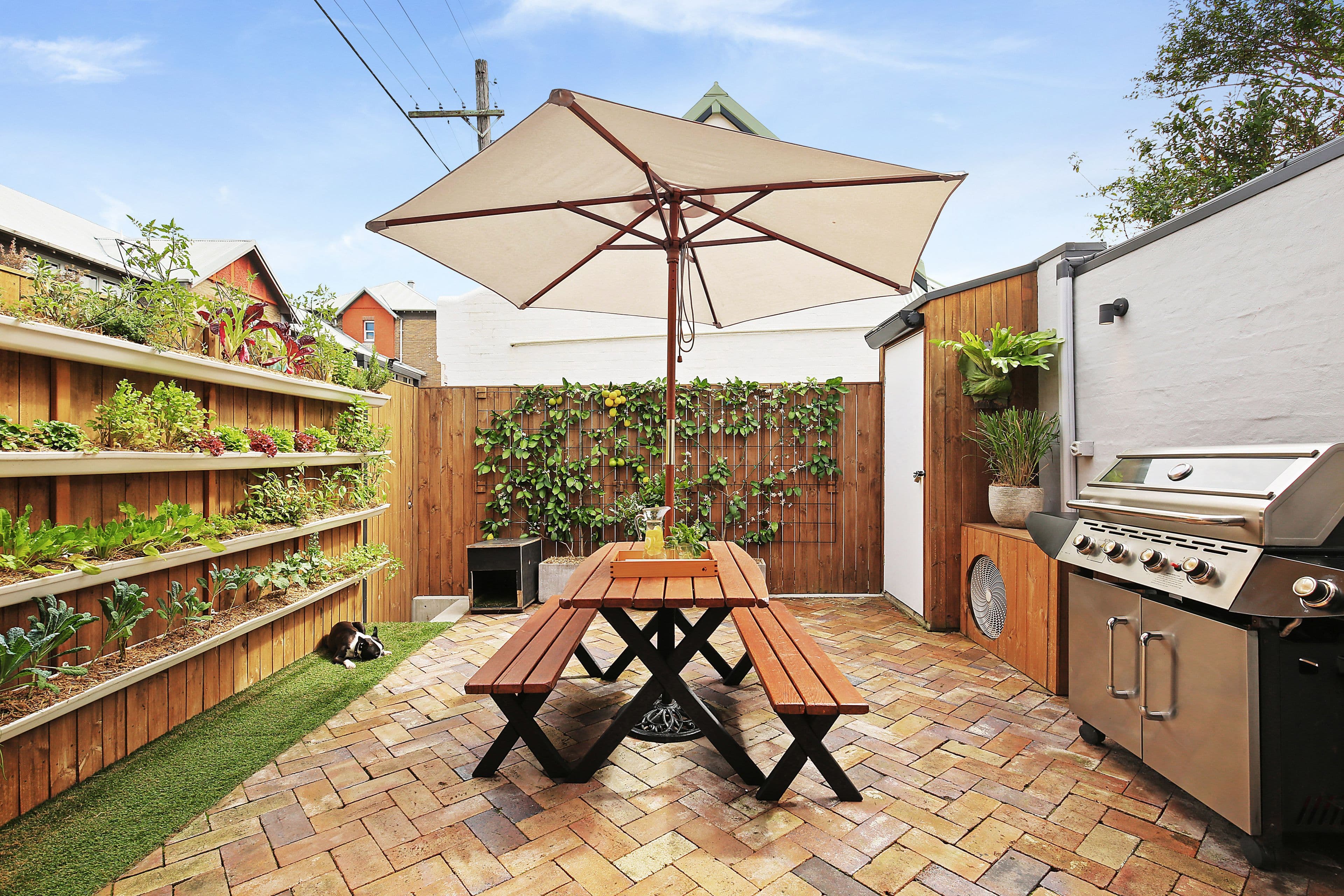 101 Metropolitan Road, Enmore - Thumbnail 8