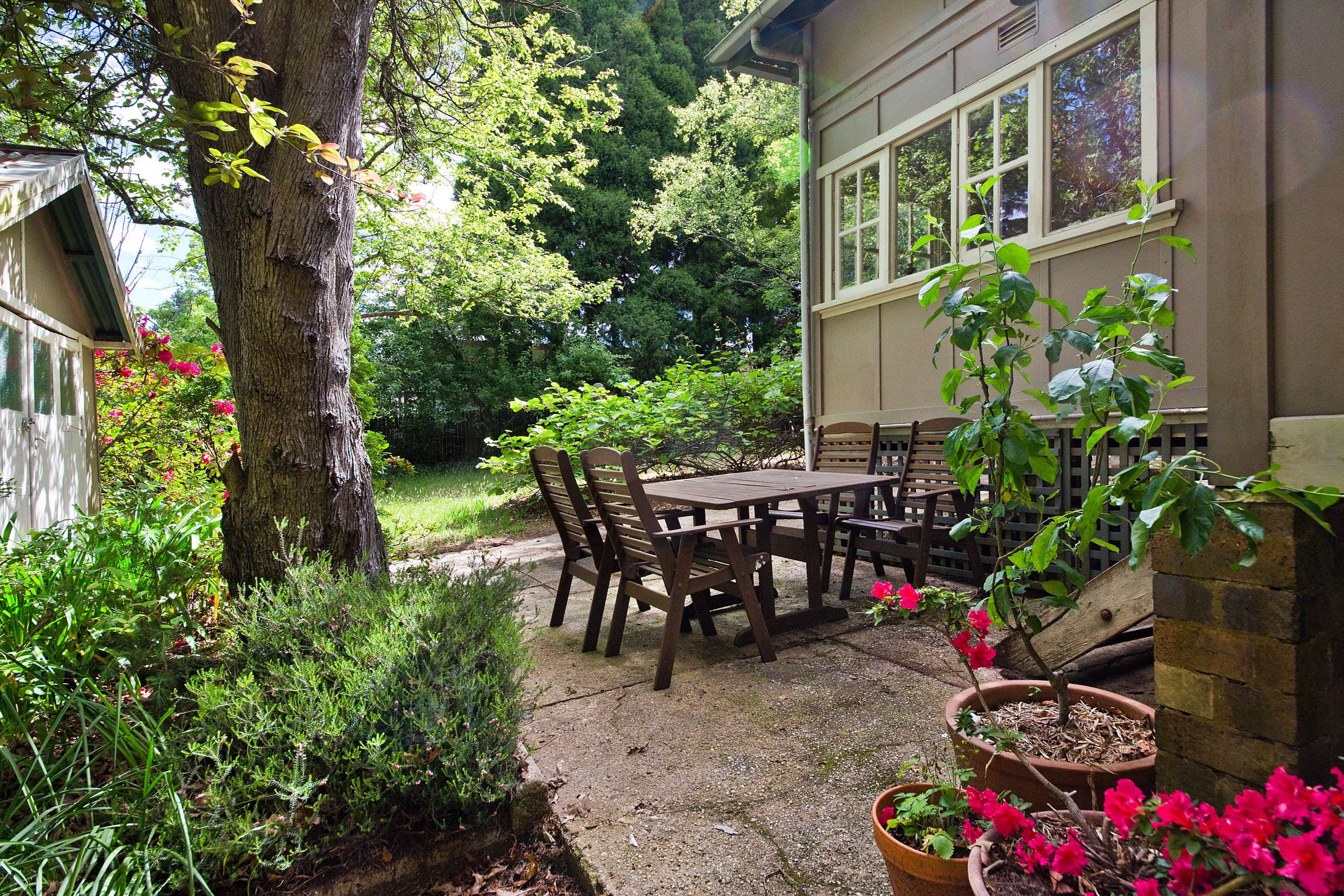 141 Hat Hill Road, Blackheath - Thumbnail 6
