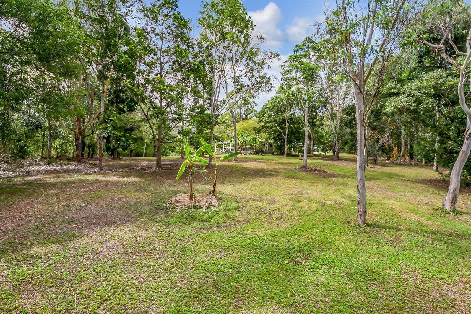 21 Walnut Close, Speewah QLD 4881, Speewah - Image 1