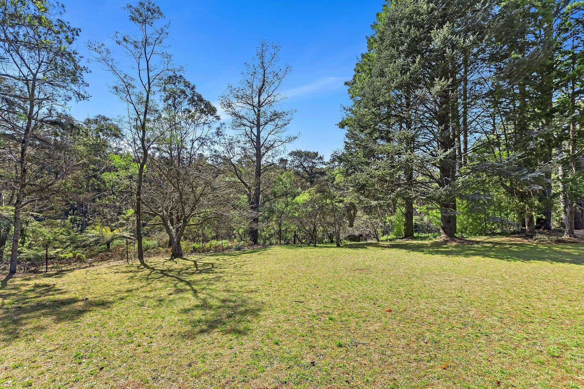 54 Prince Edward Street, Blackheath - Thumbnail 8