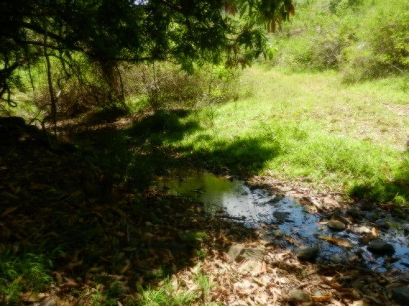 Lot 1 Mirani-Mount Ossa Road, MIRANI QLD 4754, Mirani - Thumbnail 3
