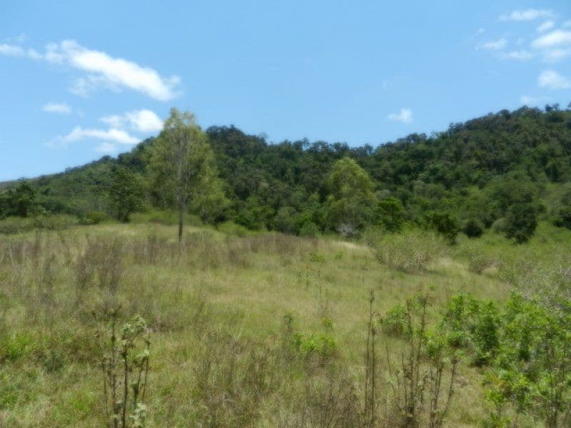 Lot 1 Mirani-Mount Ossa Road, MIRANI QLD 4754, Mirani - Thumbnail 4