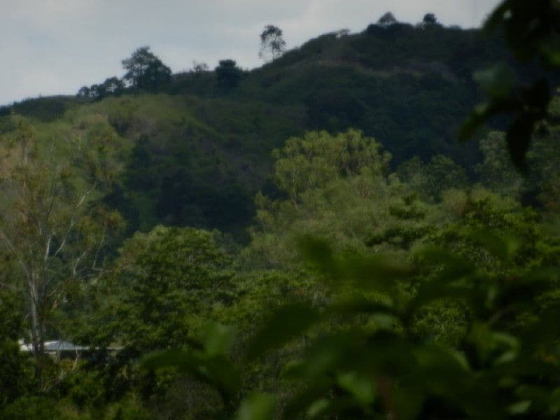 Lot 1 Mirani-Mount Ossa Road, MIRANI QLD 4754, Mirani - Thumbnail 5
