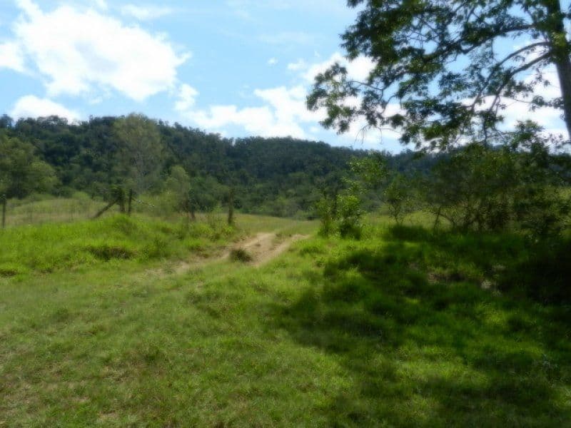 Lot 1 Mirani-Mount Ossa Road, MIRANI QLD 4754, Mirani - Thumbnail 6