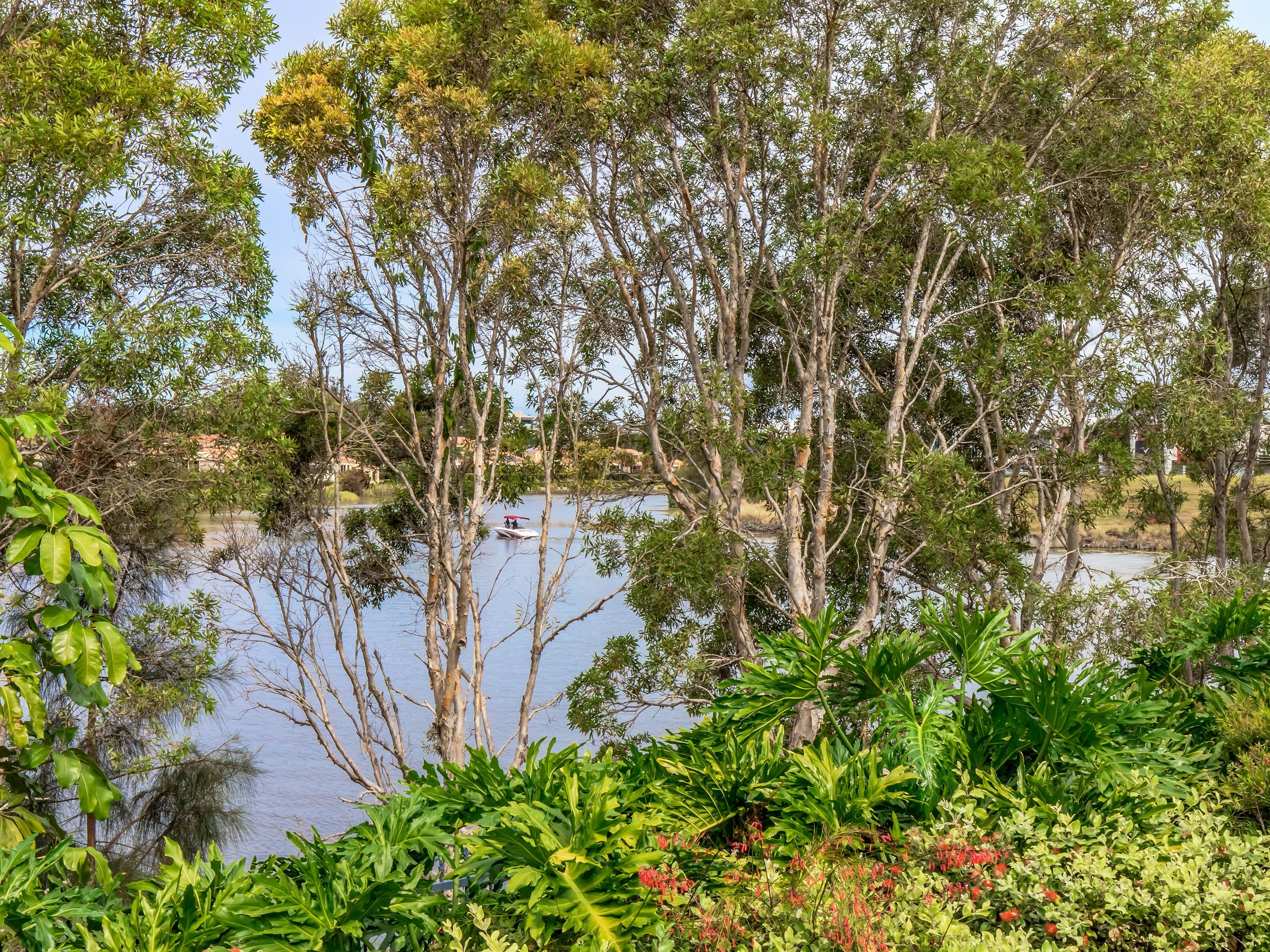 206 Cheltenham Drive, Robina QLD 4226, Robina - Thumbnail 5