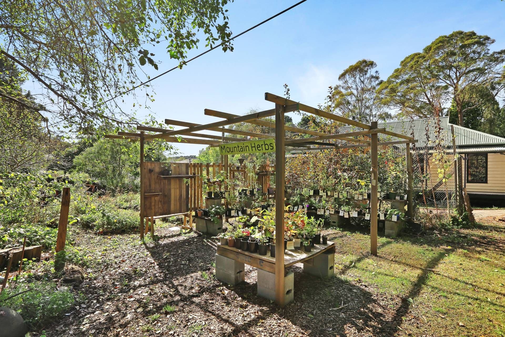 51-53 Mort Street, Katoomba NSW 2780, Katoomba - Thumbnail 3