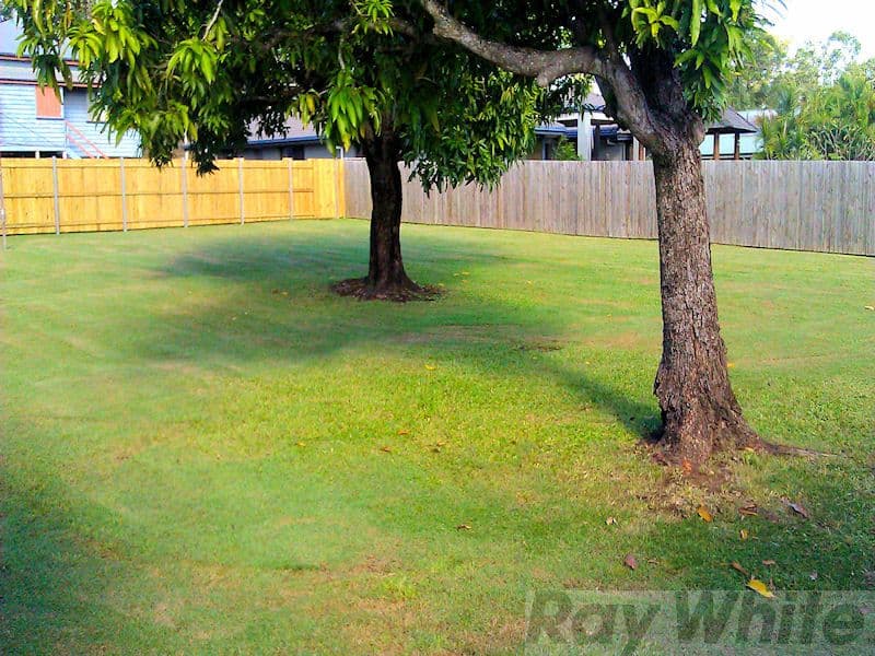 13 Taylor Street, DINMORE QLD 4303, Dinmore - Thumbnail 2