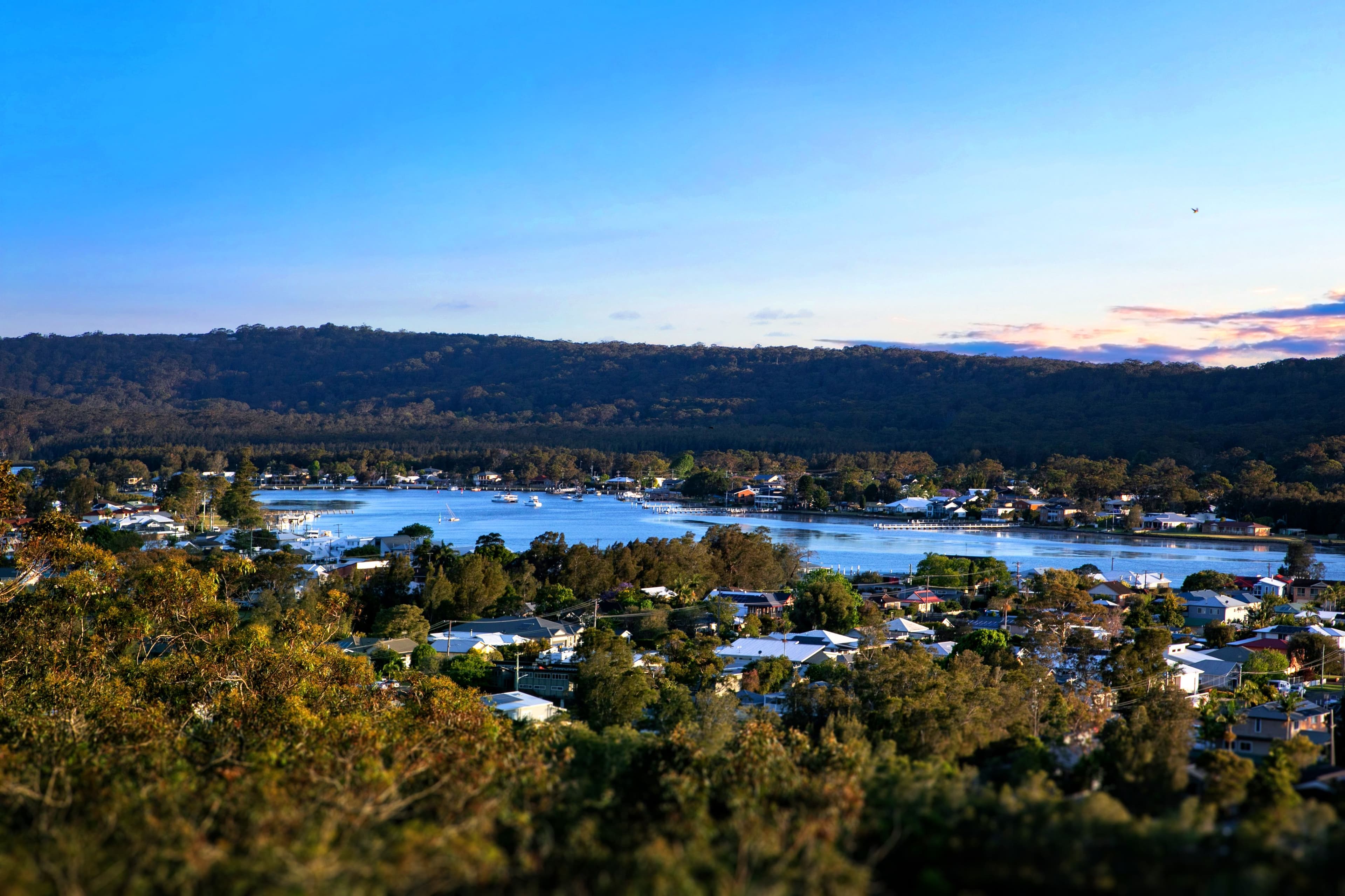 3 Shaw Street, Saratoga NSW 2251, Saratoga - Thumbnail 5