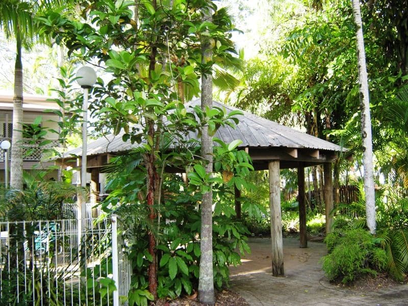 3 Tropic Court, PORT DOUGLAS QLD 4877, Port Douglas - Thumbnail 3