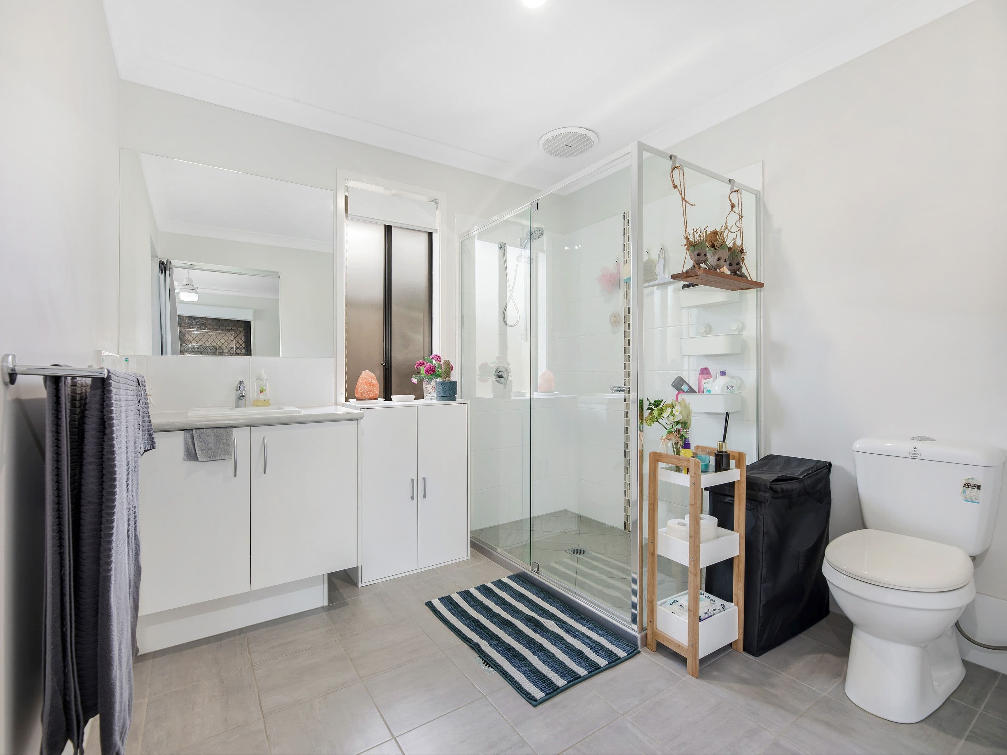 24 Coolah Street, South Ripley QLD 4306, South Ripley - Thumbnail 8