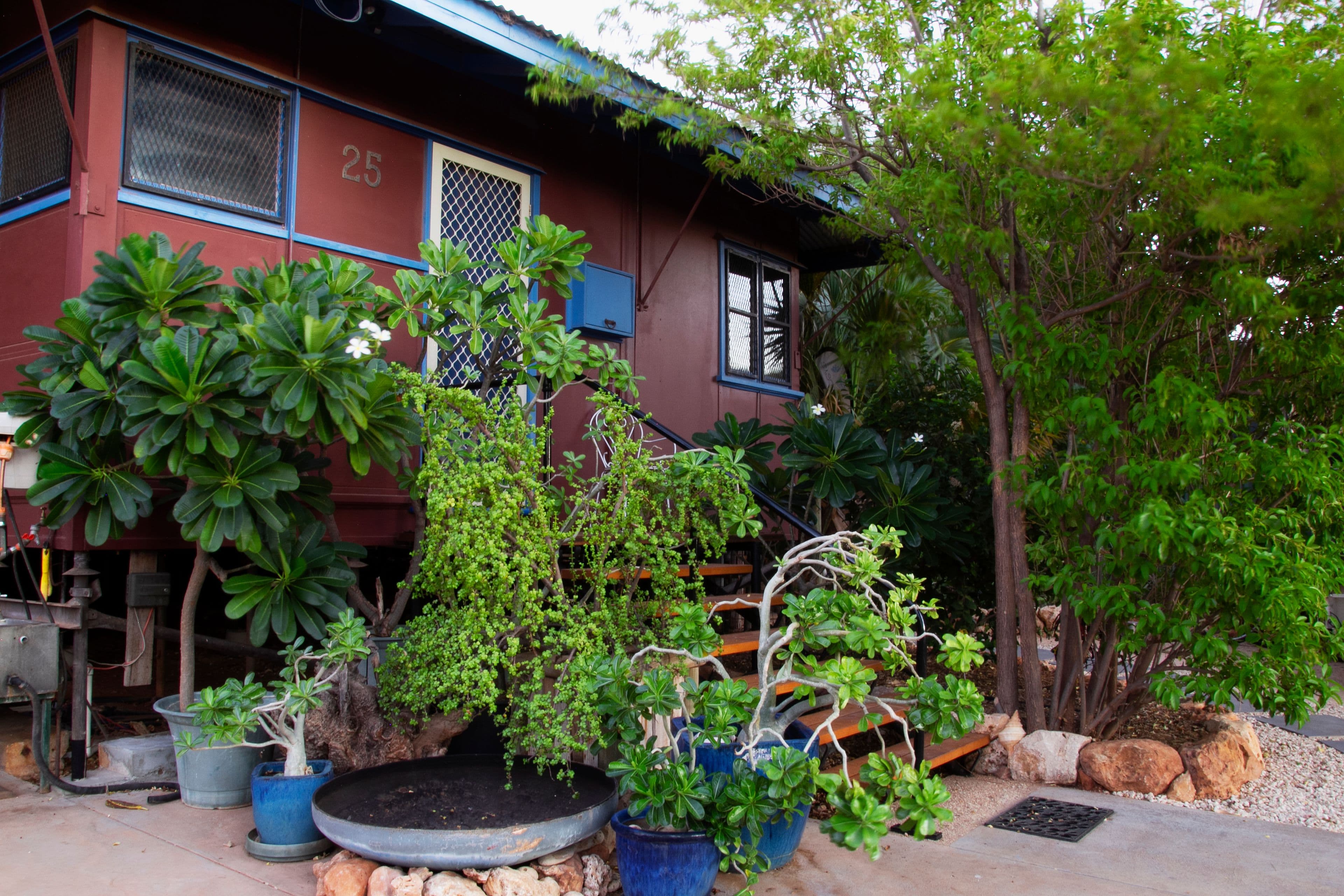25 Lockwood Street, Exmouth WA 6707, Exmouth - Thumbnail 2