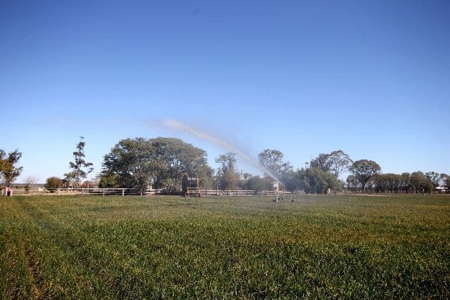 "Springfield" Warrego Highway, DALBY QLD 4405, Dalby - Image 1