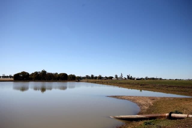 "Springfield" Warrego Highway, DALBY QLD 4405, Dalby - Thumbnail 3