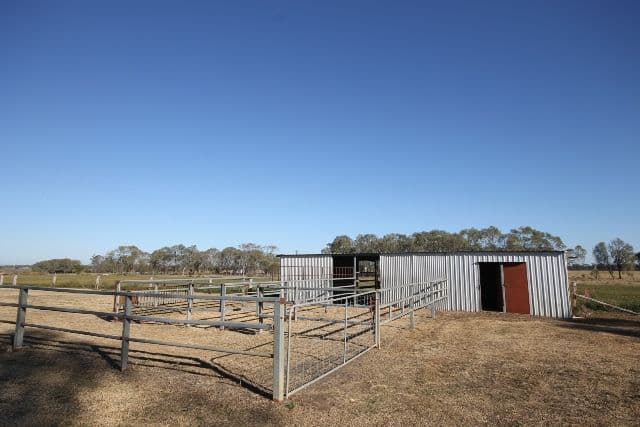 "Springfield" Warrego Highway, DALBY QLD 4405, Dalby - Thumbnail 7