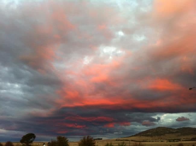16 Simms Drive, BUNGENDORE NSW 2621, Bungendore - Thumbnail 4