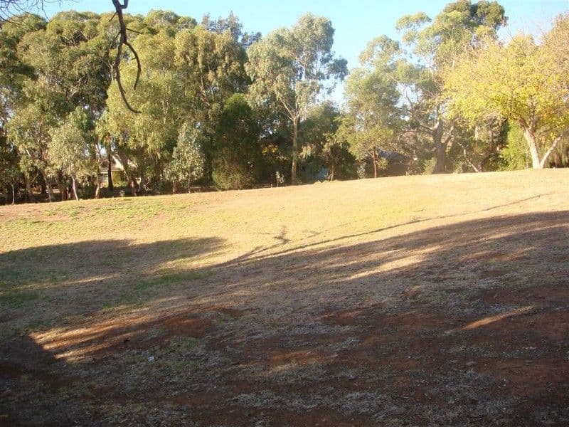 25 Horwood Avenue, ROSTREVOR SA 5073, Rostrevor - Thumbnail 6