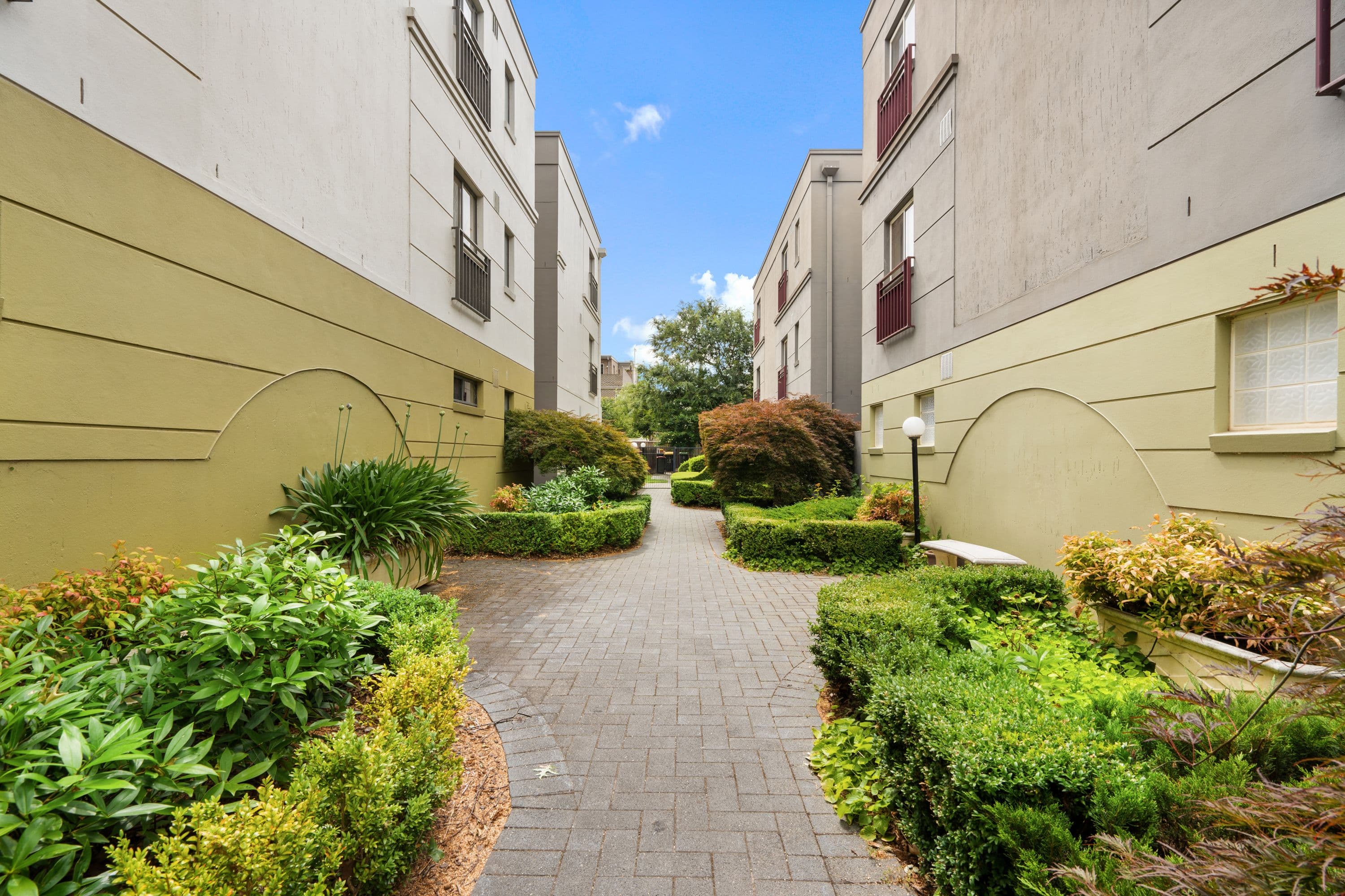14 Macleay Street, Turner ACT 2612, Turner - Thumbnail 3